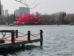 -洛阳市隋唐城遗址植物园