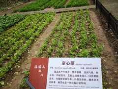-张闻天故居