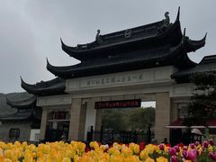 -苏州上方山国家森林公园