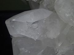 -中华赏石园