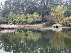 -三水森林公园