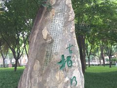 -唐城墙遗址公园