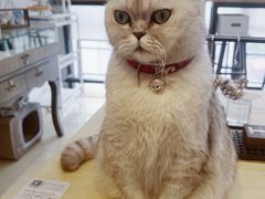 -Oasis绿洲银饰珍珠手作diy(壹方城店)
