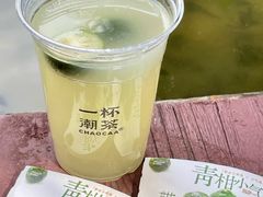 -一杯潮茶·专注潮汕茶饮(朝阳庄店)