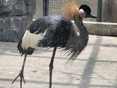-天津市动物园
