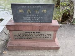 -靖西鹅泉风景区