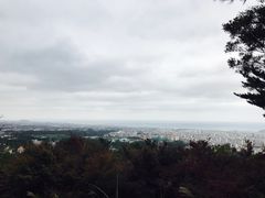 -汉拿树木园