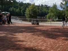 -五营红松林海景区