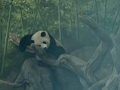 -武汉动物园