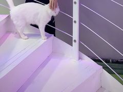 -极木²邸 人与宠物·互动社区