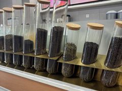 -雾与山茶(大禹城店)