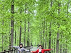 -黄海国家森林公园