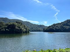 -广州市石门国家森林公园
