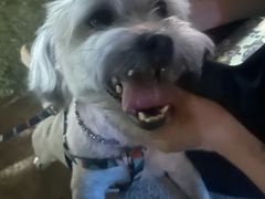 -解家河南菜(商鼎路店)