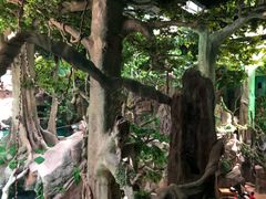 -福州罗源湾海洋世界旅游区