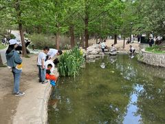 -白水寺森林公园