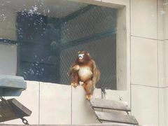 -合肥野生动物园