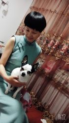 点击看大图 -老上海·石库门 旗袍·洋服工作室(淮海中路店)