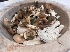 -七采菌园·野生菌石锅鱼(环城北路店)