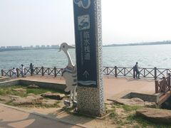 -丁香湖公园