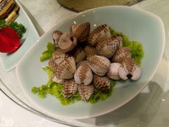 花蛤-瓯菜排档·温州海鲜(玕南店)