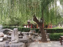 -咖啡CHA自助餐厅(香格里拉饭店)