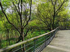 -西湖风景区-江洋畈生态公园