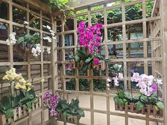 -南山植物园