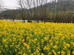 -昆明青龙峡风景区