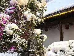-绳金塔