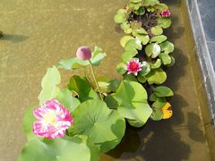 -红石寨旅游度假区