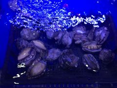-港迹·鲜围煮海鲜火锅(湖州时代广场店)