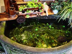 -土桥老街黄鸭子(清淳家园店)