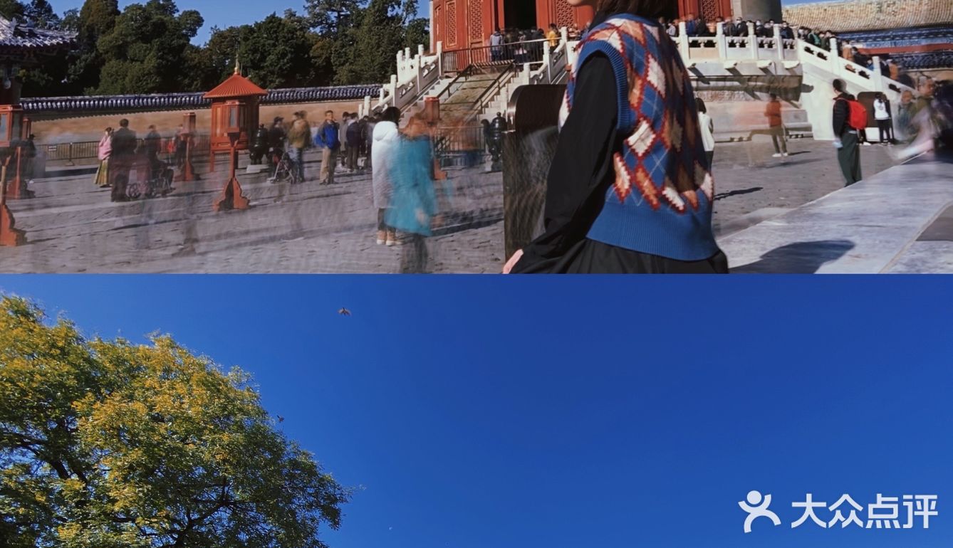 北京旅游攻略｜红墙绿瓦诗意盎然｜天坛公园