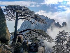 -黄山风景区