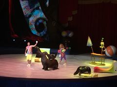 -珠海横琴长隆《卡卡虎奇遇记》