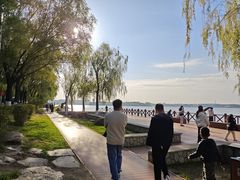 -丁香湖公园