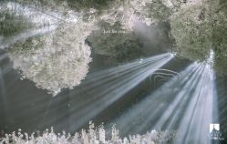 -琥珀婚礼策划AMBER WEDDING