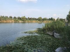 -南宁南湖公园