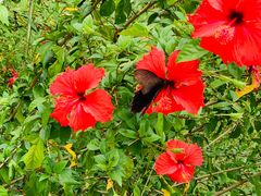 -广州白江湖森林公园