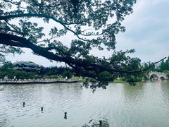 -江心屿景区