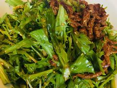 -金掌勺东北菜(格兰晴天店)