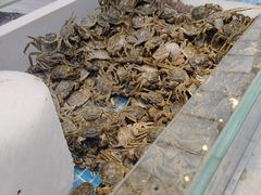 -集品鲜湾·蒸汽海鲜自助料理(青岛银座和谐广场店)