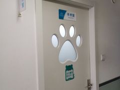 -乐派堂宠物医院·猫友好· 心脏科(东街店)