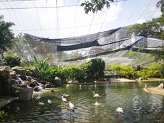 -吉隆坡雀鸟公园