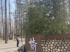 -林间山庄
