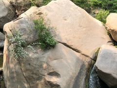 -碓臼峪自然风景区