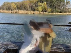 -昆山城市生态森林公园