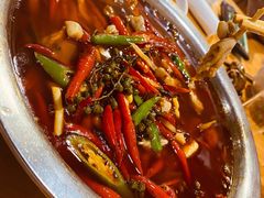 鲜椒美蛙-三哥田螺(北书院街店)