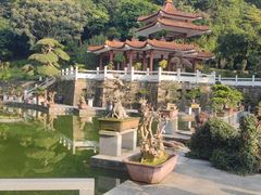 -深圳仙湖植物园